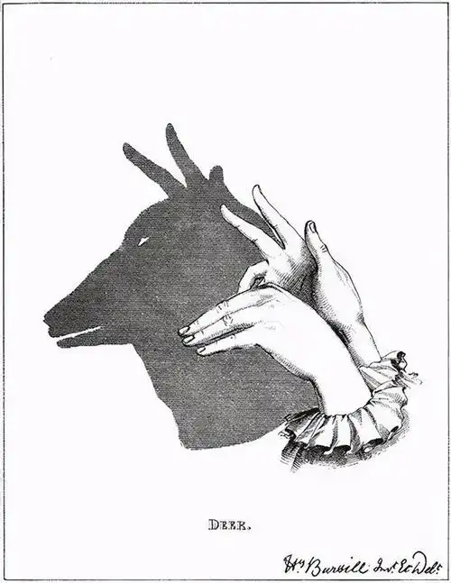 一秒变身影子魔术师!带宝宝足不出户逛"动物园"