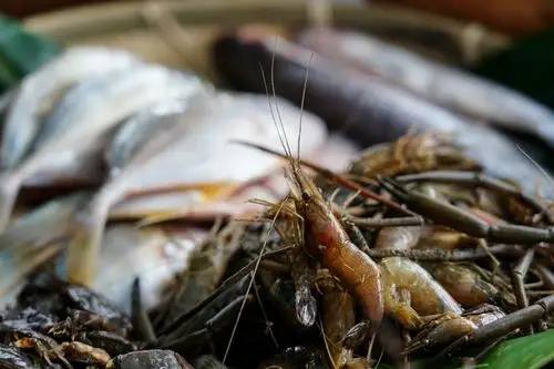 有野菜,乌鱼,牛港生,过山虾 还有还在吃海藻的螃蟹! 感觉超赞的!