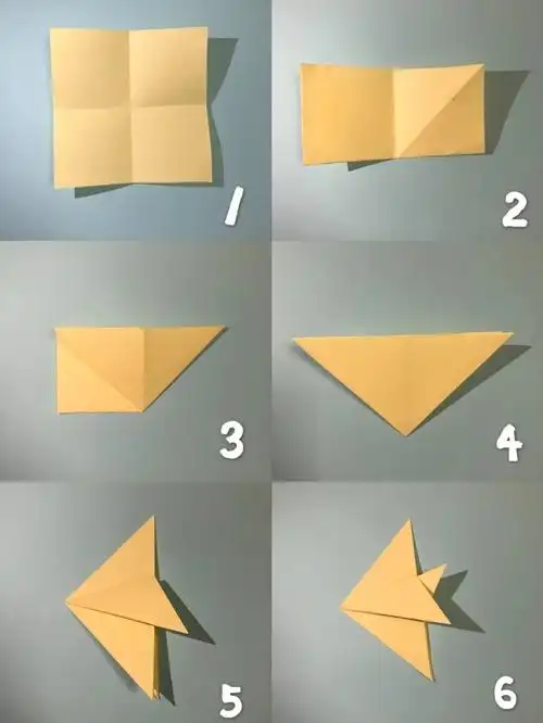 彩纸手里折一折,折个小鱼咪咪笑.