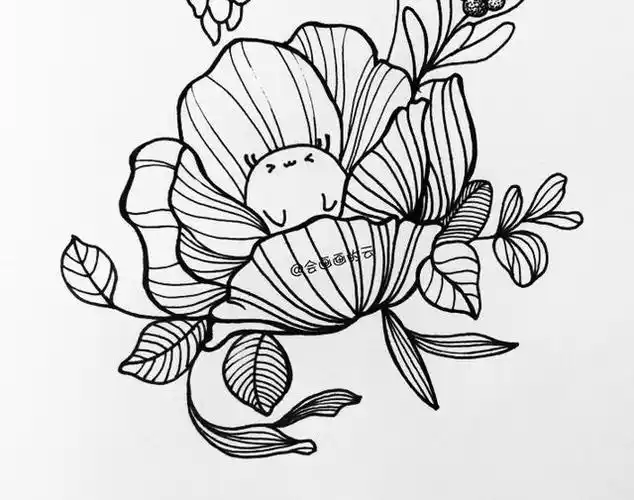 零基础如何画线描?分步骤教你画一朵好看的小花