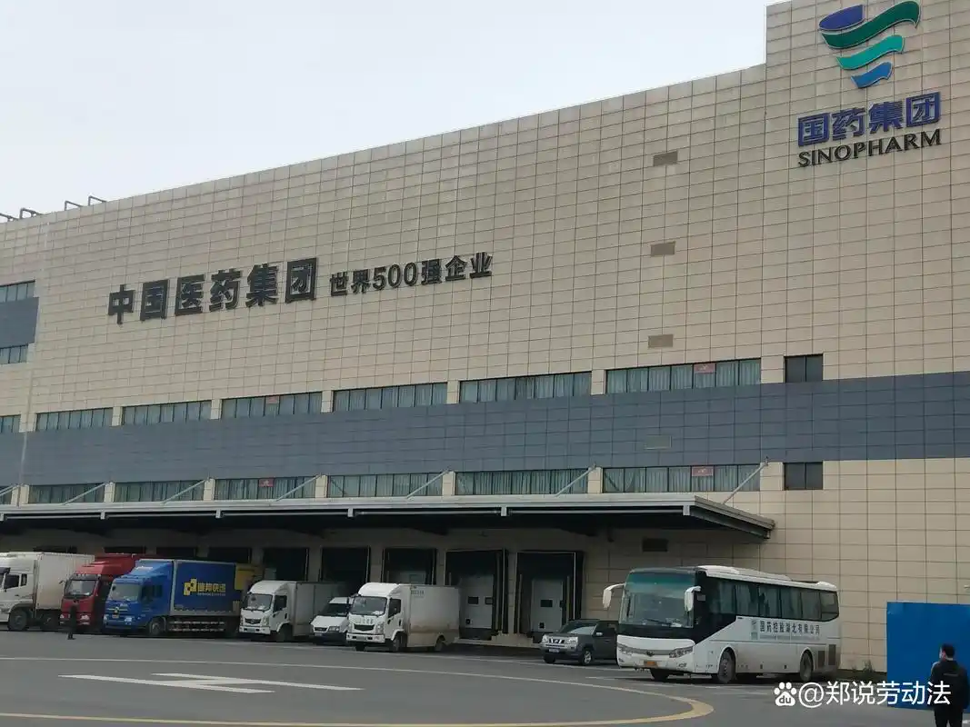 世界500强国药控股湖北有限公司人力资源管理合规咨询案