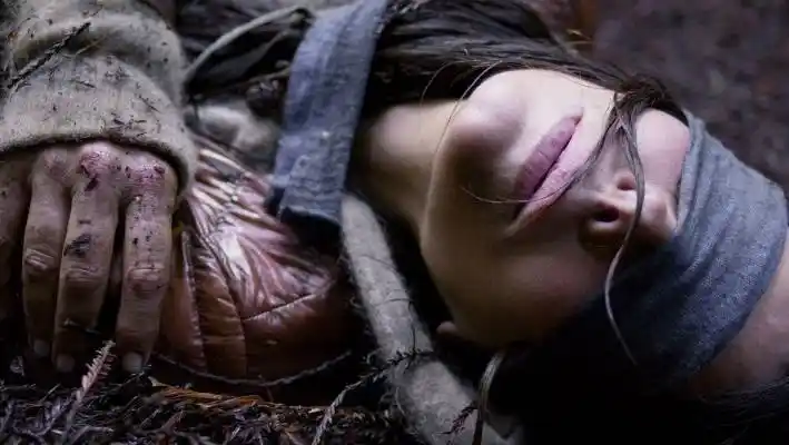 have you seen bird box? netflix says 45 million people have