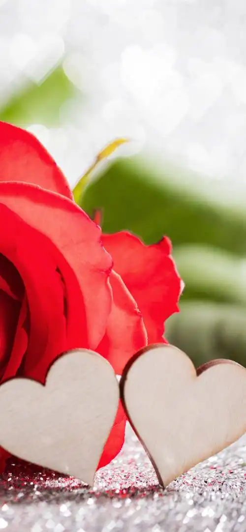 红玫瑰,爱心,朦胧,浪漫 iphone 壁纸