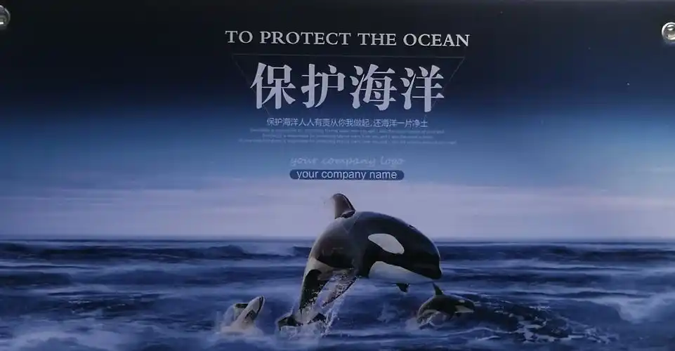 一代天骄培训学校 "保护海洋环境"二年级作文课实践活动