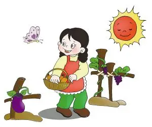 快乐的种菜生活