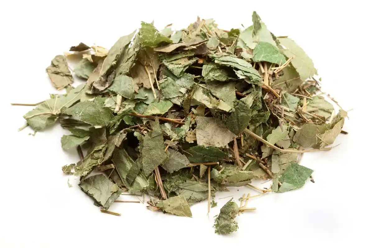 中药金钱草擅治疗尿中夹砂,尿中带血,排尿中断,尿痛结石【仅供参考】