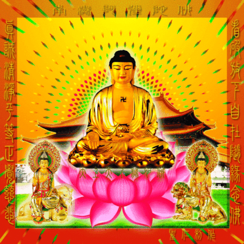 640_640gif 动态图 动图