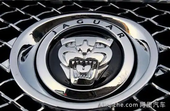 请问有没有知道一只老虎头车标是什么车怎么用百度视频扫描出附近的人