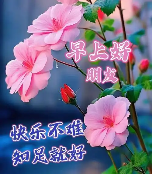 9月26日-最新早安漂亮祝福图片|快乐|清晨|甜蜜|幸福|早上好_网易订阅