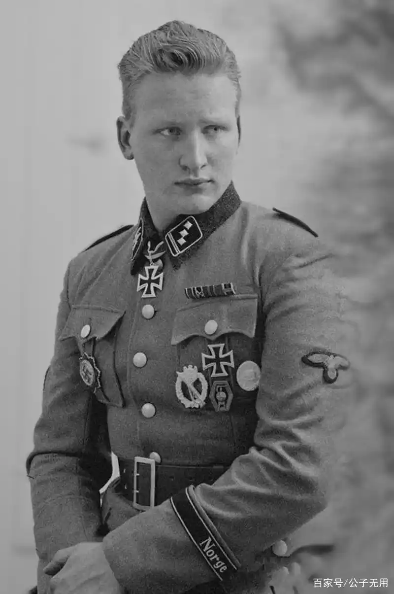 二战纳粹党卫军军衔详解,历史照片深度解读武装党卫军的由来
