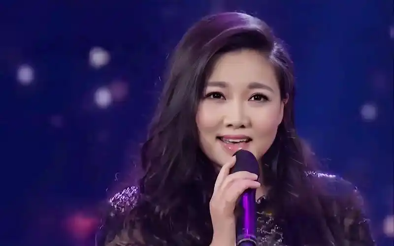 王莉往事只能回味