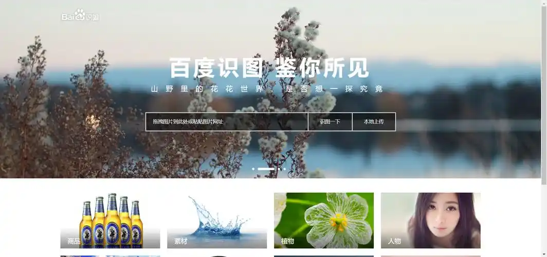 识图网站|有了这些网站,不怕图片找不到出处