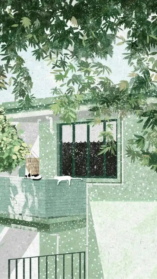 治愈系 小清新 手机壁纸 全面屏壁纸 绿色 护眼 图源 微博池尤