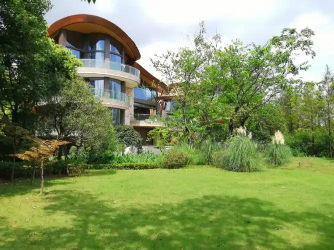 麓湖生态城黑蝶贝