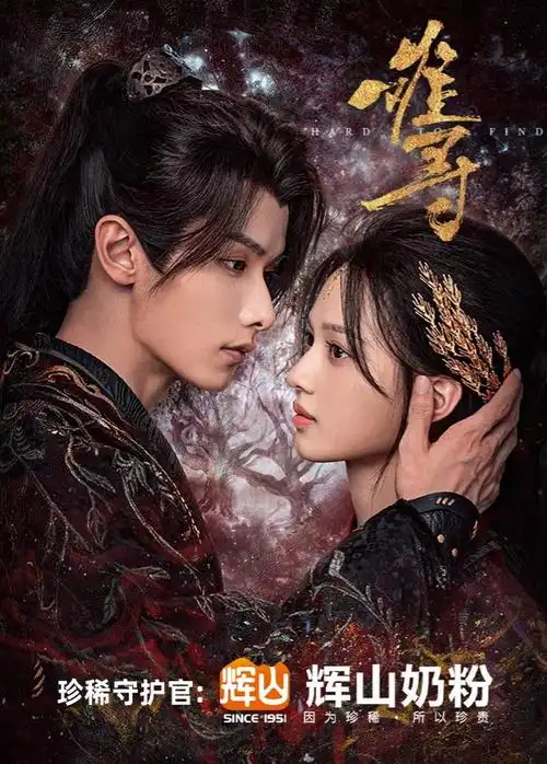 影评解读·电影速看