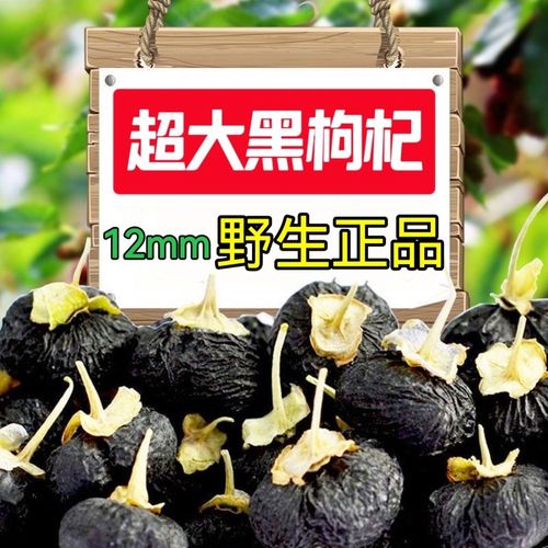 野生特大黑枸杞果青海诺木洪正宗头茬免洗黑枸杞子天然花青素泡水