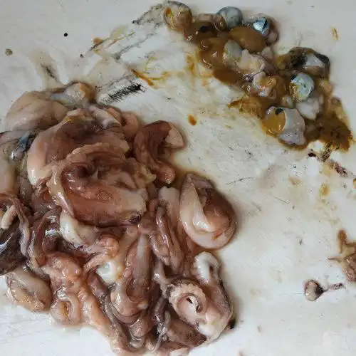 第2步,鱿鱼内脏和黑汁去掉,切小.