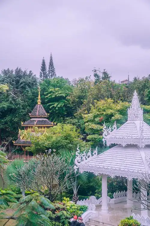 不逛一逛这个公园白去西双版纳这太有异域风情仿佛来到泰国