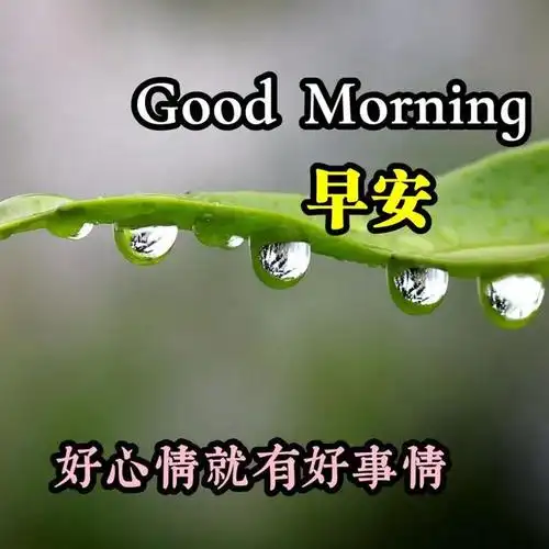 精美的早上好图片表情带字,暖心早安问候祝福语录