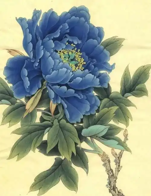 国画教程中国工笔画花卉技法临摹的要点总结超强干货值得收藏细读