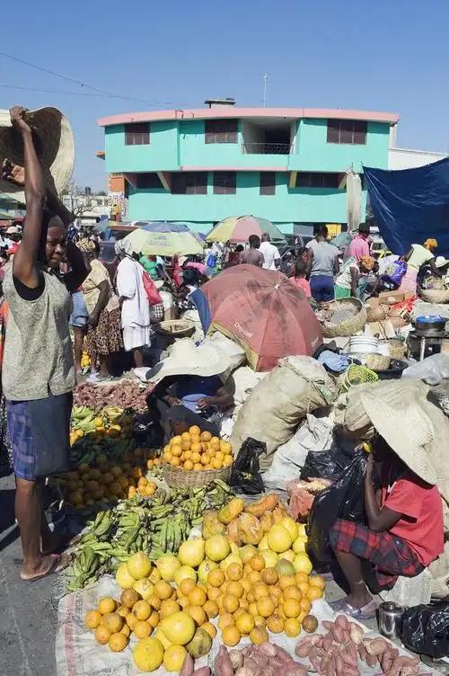 海地:穷得吃土的国家,到底发生了什么,大批移民涌入美国