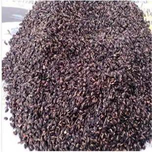 基地特供花木种子 新采合欢种子 合欢树种子 合欢花种子批发