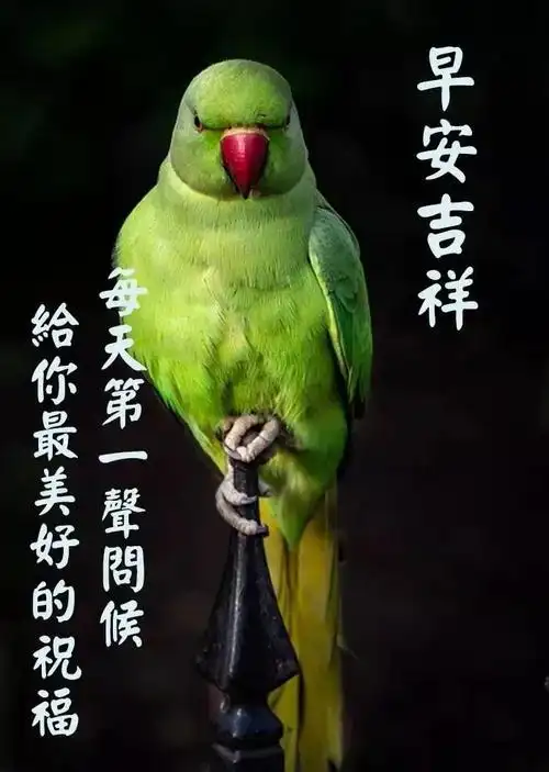 早安正能量一句话发朋友圈的早安说说