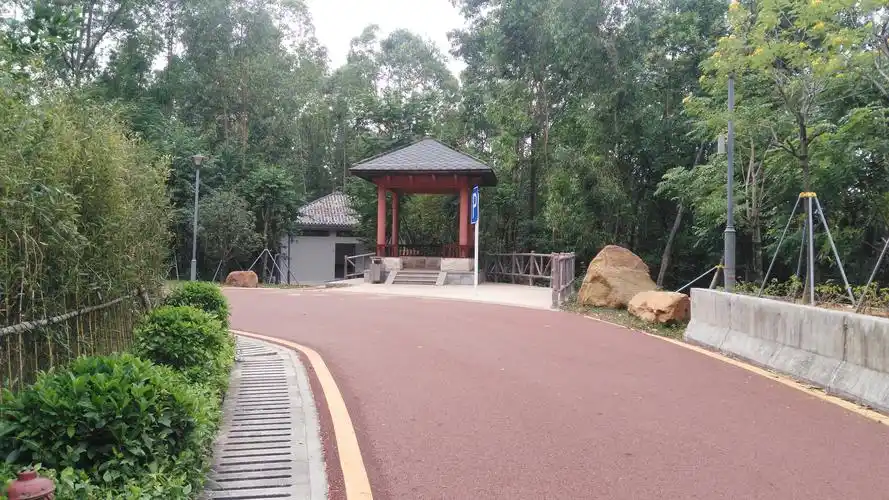 深圳龙岗八仙岭公园你去过吗?新建好的山路更好走了