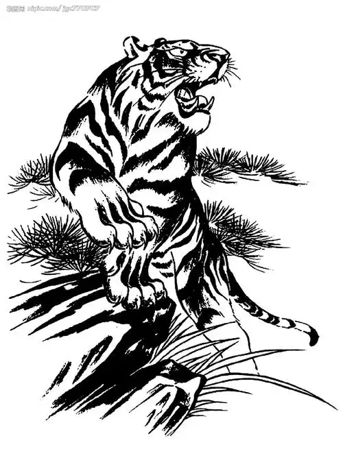 老虎矢量图__野生动物_生物世界_矢量图库_昵图网nipic.com