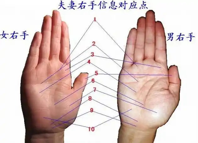 "别小看手掌中那条细细的感情线,它早已锁定了你命中的某种情缘,不同