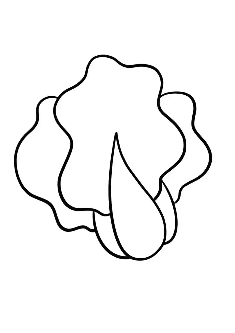 简笔画教程分享 白菜