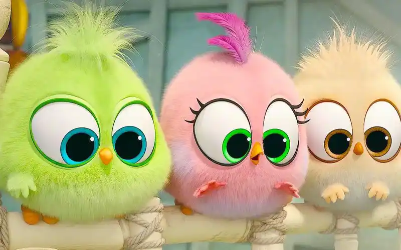 【愤怒的小鸟】一手交蛇一手交鸟#超萌#治愈#动画#可爱