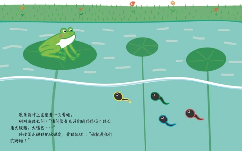 《小蝌蚪别着急找妈妈》