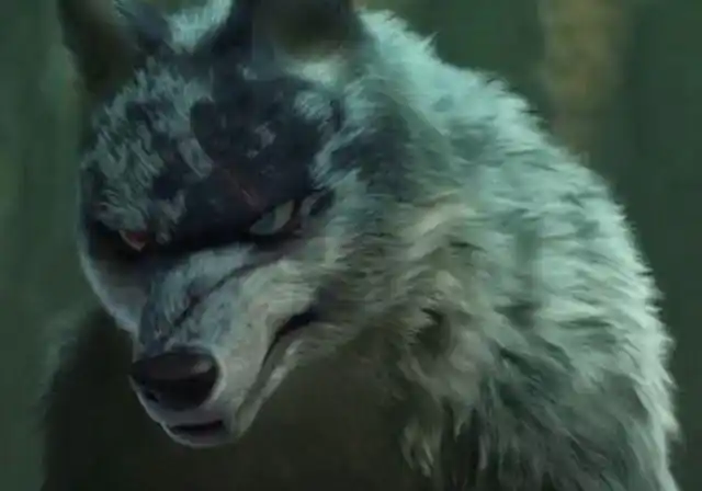 独眼狼是《熊出没之原始时代》中的反派大boss,作为狼族的首领一直将