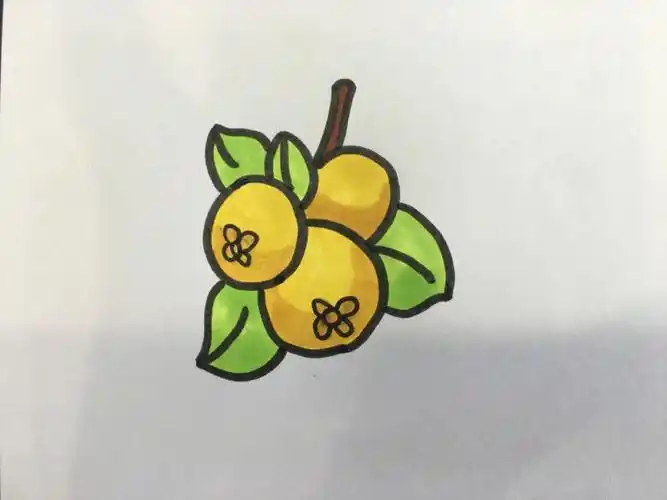 马克笔枇杷简笔画