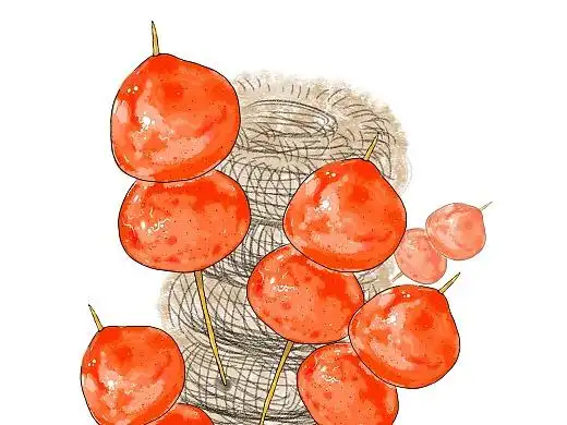 冰糖葫芦3年前辣皎插画-商业插画我最喜欢的冰糖葫芦7年前fanfanfan9