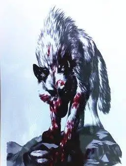 滴血狼……缅怀杨哥