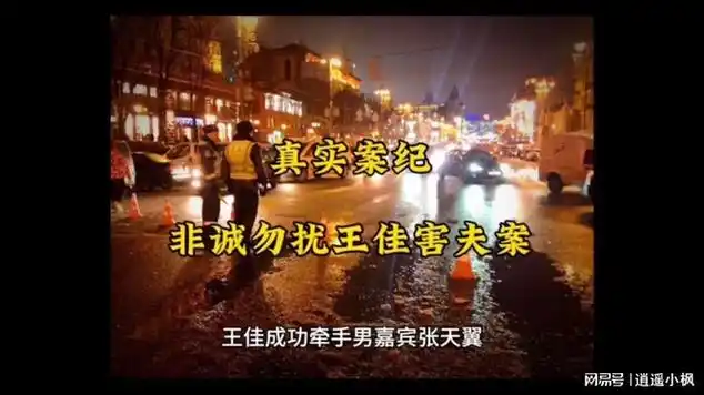 非诚勿扰最真诚女嘉宾"王佳害夫案"|大陆综艺|非诚勿扰(节目)|模特儿