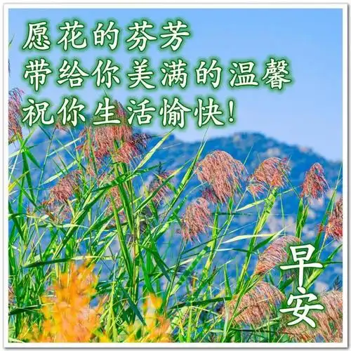 8张免打字漂亮好看的早上好美带祝福语,秋日早晨好幸福暖心的问候图片