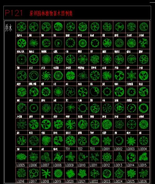 你离植物配置达人的距离就只差这套cad苗木表了!_树木