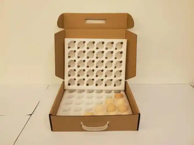珍珠棉鸡蛋托鸡蛋包装盒防震快递运输盒装鸡蛋包装盒放鸡蛋的蛋托好不
