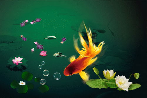 900_600gif 动态图 动图