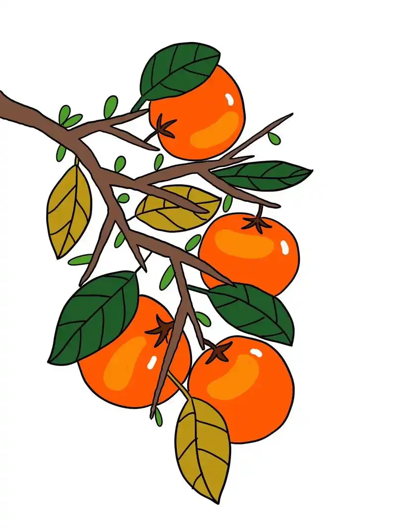 秋天简笔画.#柿子简笔画#秋季儿童画 #跟着抖音学画画 #一 - 抖音