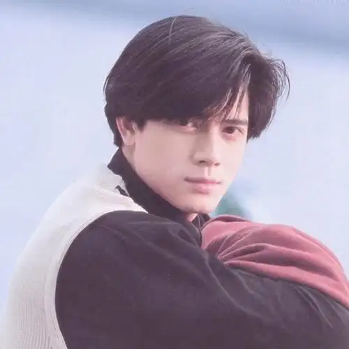 刘德华第七张学友第二