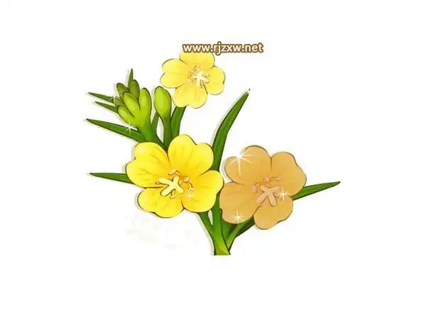 夜来香素材怎么画