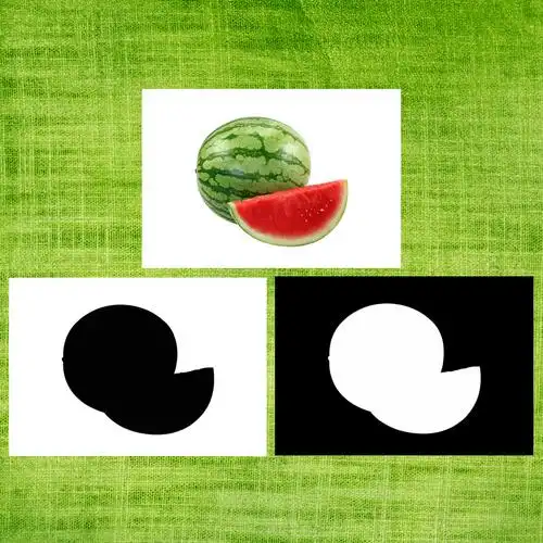 影子配对实物日用品水果自闭症孤独症认知玩具挂图