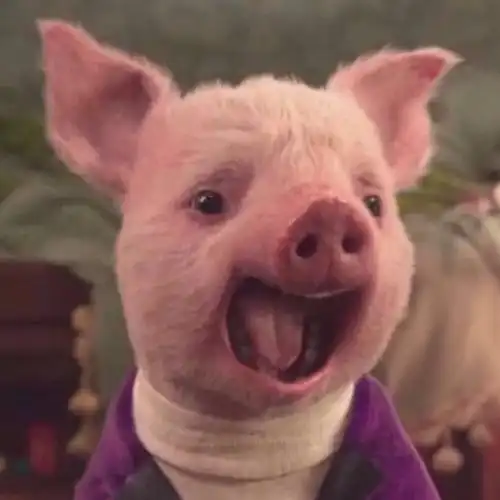 可爱又憨憨的头像 高清呆萌可爱的憨憨沙雕头像图片_搞笑头像_美头网