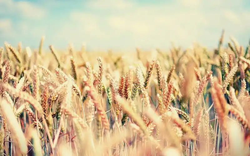 湖南玖梵数字科技