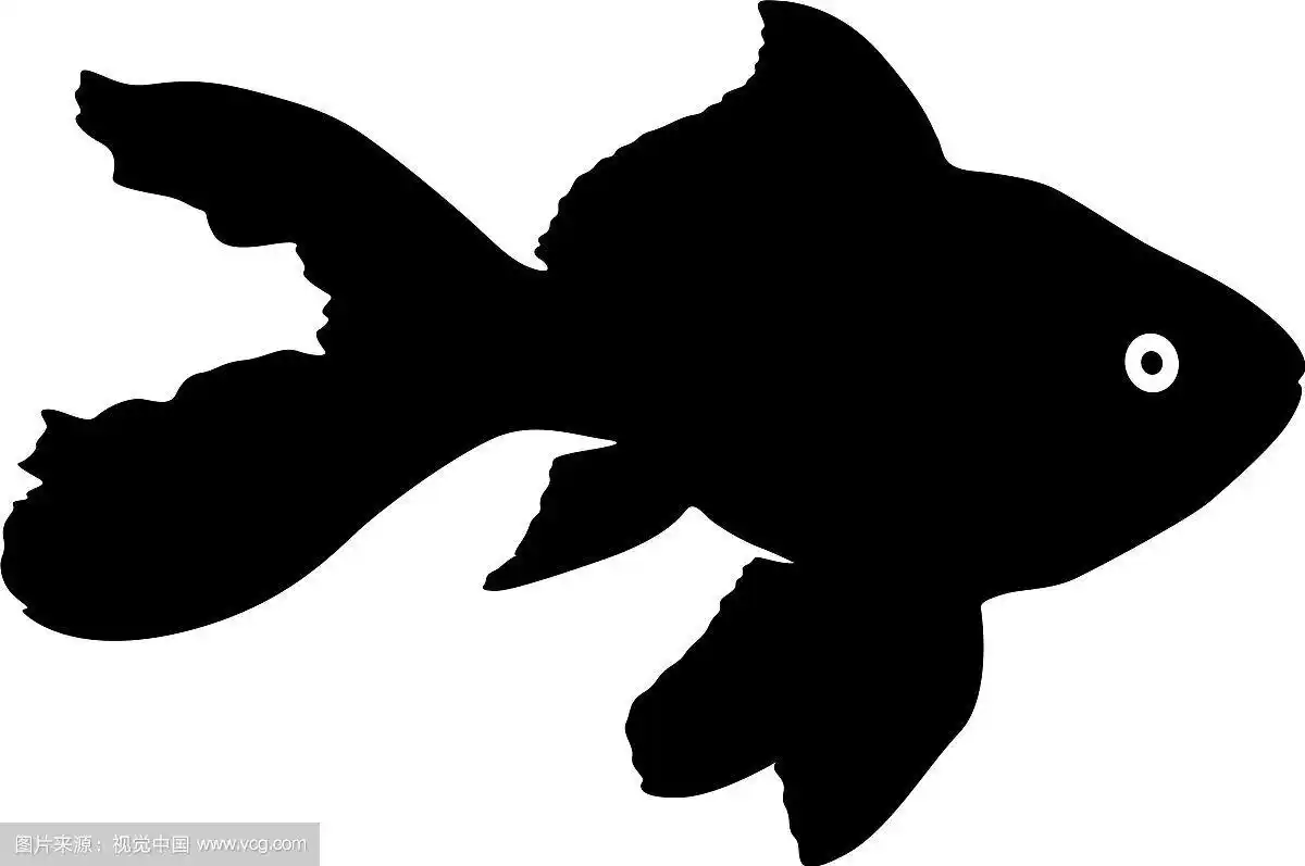 白色鱼缸鱼的黑色剪影
