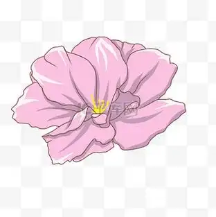 手绘春季花朵插画